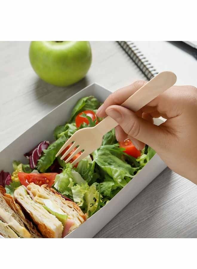 ٥٠ قطعة شوكة للاستخدام مرة واحدة، شوك خشبية، ١٤ سم، قابلة للتحلل الحيوي، مثالية للتخييم والنزهات والعشاء ولوازم الحفلات - Image 5